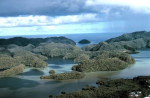 palau.jpg